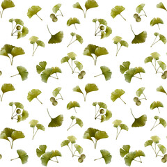 Seamless pattern of ginkgo biloba branches and leaves. Isolated on white background.