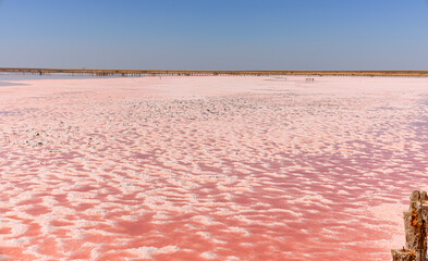 The pink lake is a beautiful landscape, unusual nature.