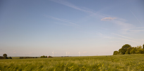 Rodheim, Wetterau, Hessen, Germany Mai 2022: View above the wheat field. Some wind turbines in the...