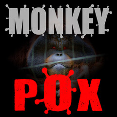  monkey pox concept - 510616302