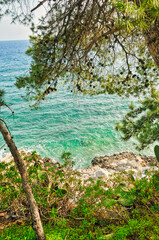 Fototapeta na wymiar Scenery with sea and trees