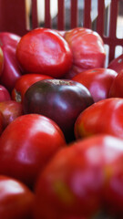 Cagette contenant des tomates mûres, d'un rouge vif.  Cet aliment est bénéfique pour la santé