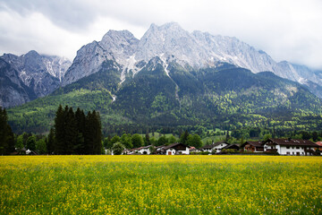 Fototapeta na wymiar Zugspitze as seen from Grainau/Garmisch-Partenkirchen on a sunny spring day