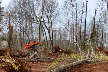 Excavator uprooting trees on land in bulldozer clearing land from trees, roots and branches with...