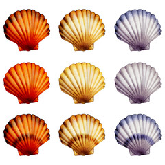 illustration of set of colorful seashells - obrazy, fototapety, plakaty