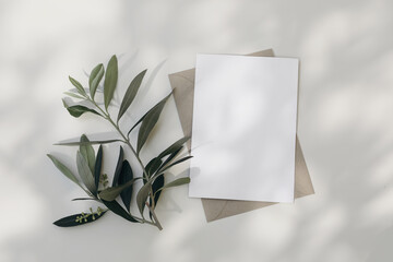 Summer wedding stationery. Blank greeting card, invitation mock-up scene with craft envelope Blooming green olive tree leaves, branch isolated on white table background. Mediterranean flat lay, top