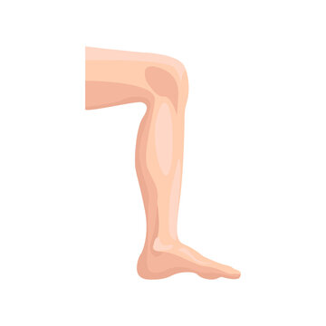 Male leg flat icon. Colored vector element from body parts collection. Creative Male leg icon for web design, templates and infographics.