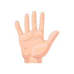 Palm flat icon. Colored vector element from body parts collection. Creative Palm icon for web design, templates and infographics.