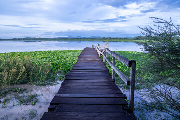Fototapeta premium Cienaga de las Macanas Herrera Panama