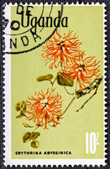 Uganda - circa 1969 : A stamp printed in Uganda shows Erythrina abyssinica , Native Flora serie,...
