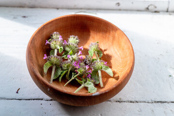 Wooden eco plate with pink flowers Wild Basil or Clinopodium vulgare of a medicinal plant collected...