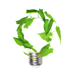 Renewable energy, sustainability, ecology concept. Light bulb made of green plant isolated on white...