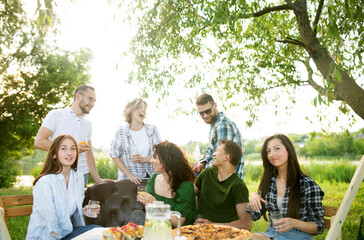 Group of young friends enjoying a picnic sitting outdoors fresh air spending weekend sunny day drinking beverage clinking cups, soft focus