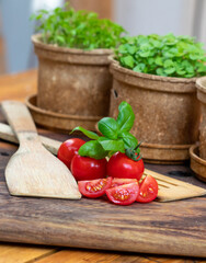 Frische Kräuter für den Balkon