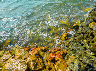 beach waves crashing on rocks, beach views and rocks, foamy water waves soaking rocks