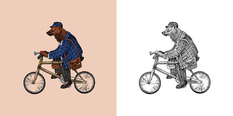 Obraz premium Brown bear rides a bike. Antique gentleman in a cap and coat. Victorian Ancient Retro Clothing. A man on a cycle. Vintage engraving style. Hand drawn old monochrome sketch.