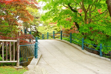 日本 北海道 函館 函館公園 秋