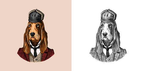 Bloodhound Dog dressed up in suit. Hunting breed. Fashion Animal character in clothes. Hand drawn sketch. Vector engraved illustration for label, logo and T-shirts or tattoo.