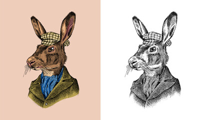 Hare or rabbit. Antique gentleman in a cap and coat. Victorian Ancient Retro Clothing. A man in a suit. Hand drawn old monochrome sketch. Vintage engraving style. © artbalitskiy