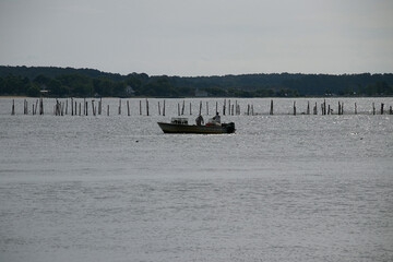 crab boats with crew crabbing on Chesapeake Bay