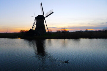 Historical working windmill at sunset  in Kinderdijk, Netherlands