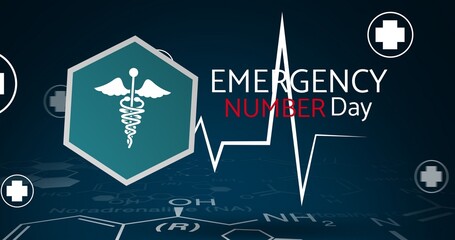 Vector image of emergency number day text with pulse trace and medical signs