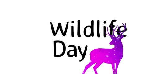 Vector image of silhouette deer with wildlife day text on white background, copy space