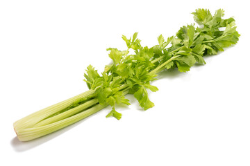 Fresh celery