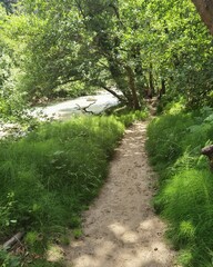 acheron river path along the river in village gliki therpsotia perfecture greece alternative outdoors destination