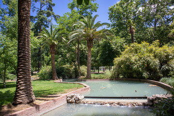 Fototapeta premium A stream with blue water in a green tropical botanical garden, park on a sunny spring or summer day. Man-made mountain rapids. Lush green bushes and palm trees. A lagoon, shallow body of calm water.