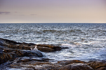 Obraz premium waves on the beach