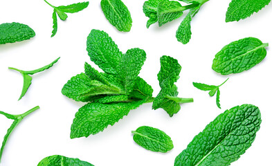 Fresh mint leaves isolated on white background, top view. Peppermint. Mentha Pattern. Collection.