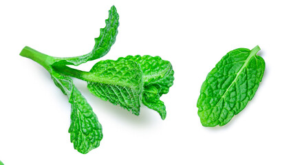 Fresh mint leaves collection isolated on white background, top view. Peppermint. Mentha. © nataliazakharova