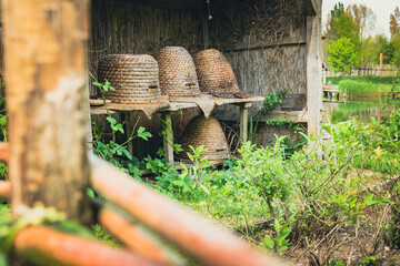 old fashioned beehives of braided reed in a vegetable garden