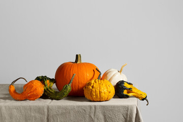 Trendy ugly organic vegetables. Assortment of pumpkins on a tablecloth. Cooking ugly food concept....