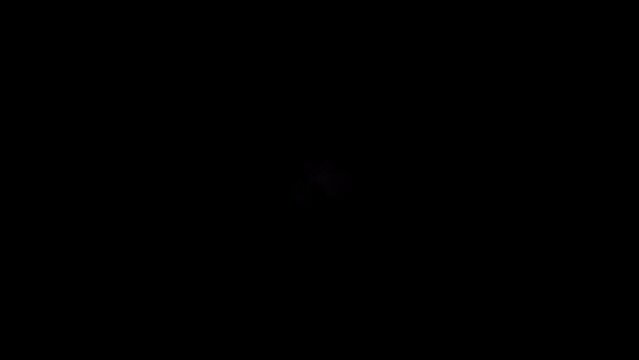 エフェクト_弾ける手書きのハート_ピンク