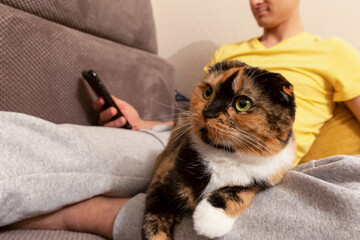 The cat is lying on the lap of a man who uses the phone.