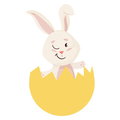 Bunny. Cute Rabbit into Broken Egg.