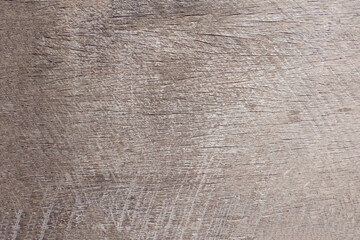 texture of wood background