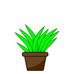 green flower decorative grass plant in pot vector illustration