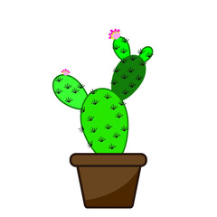 desert cactus starting to bloom in a pot for decorative flowers vector illustration