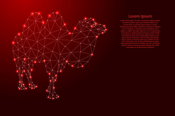 Camel, two - humped, from futuristic polygonal red lines and glowing stars for banner, poster, greeting card. Vector illustration.