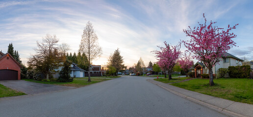 Residential neighborhood Street in Modern City Suburbs. Sunny Spring Sunset. Fraser Heights, Surrey, Greater Vancouver, British Columbia, Canada. Panorama