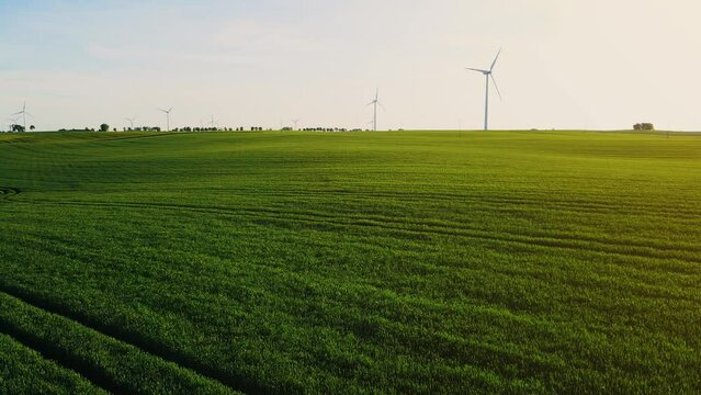 Beautiful landscape large green agricultural field with growing crops and lot of wind generator turbines. Concept of work in agronomic farm and production organic food