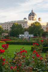Fototapeta na wymiar Ciudad de Viena o Wien en el pais de Austria