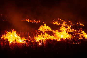 The fire burns rice straw and hay in the field at night. In Northeastern Thailand Southeast Asia
