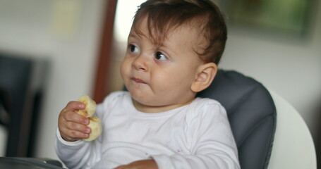 Cute baby boy eating pieces of banana seated on highchair