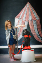 Cute child girl and black poodle dog playing circus. Tent drawn in chalk, dog training