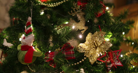 Christmas tree holiday close-up december season