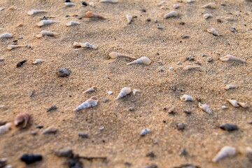 A desert land that was under the sea since ancient times